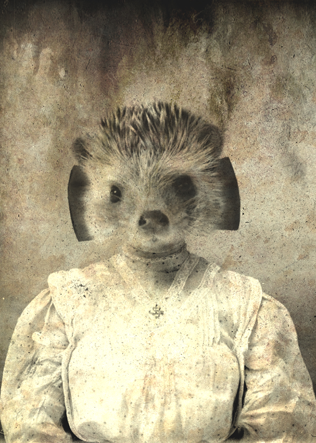 Hedgehog Lady